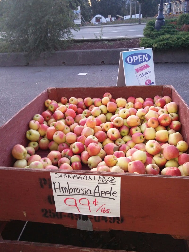 SKT Farm Market 4