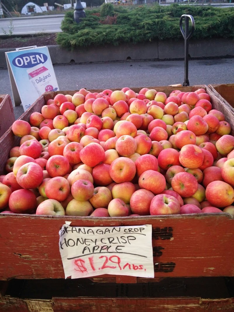 SKT Farm Market 5