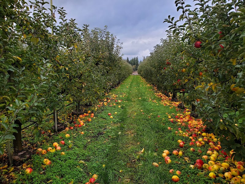 Sm'Apples Orchard 3