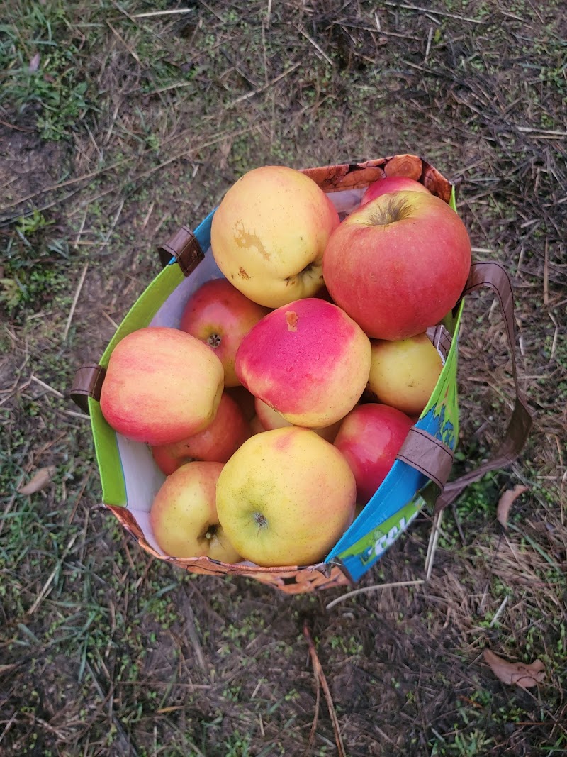 Sm'Apples Orchard 5