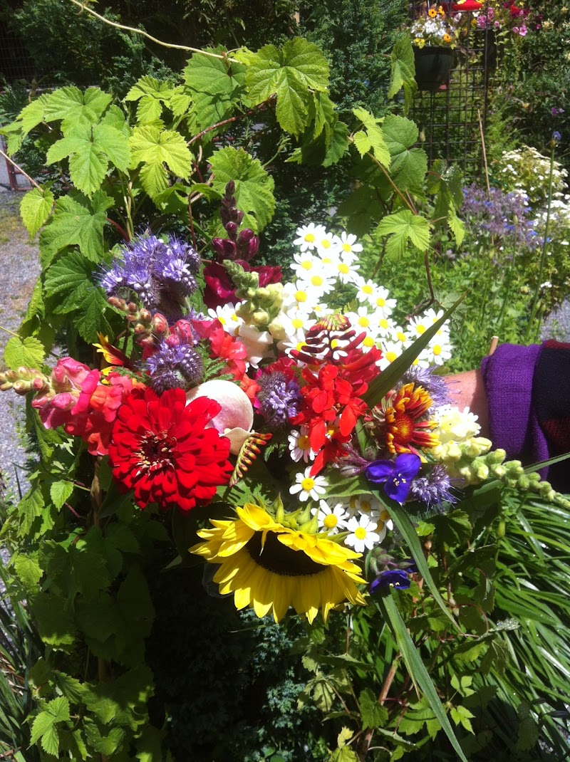 Sol Farms - Unsprayed Berries, Honey, Herbs, Flowers 2