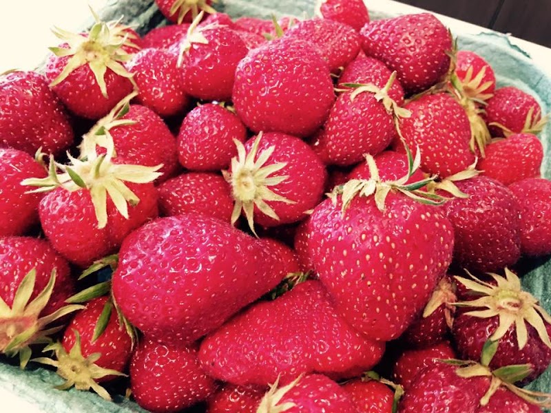 Sol Farms - Unsprayed Berries, Honey, Herbs, Flowers 5