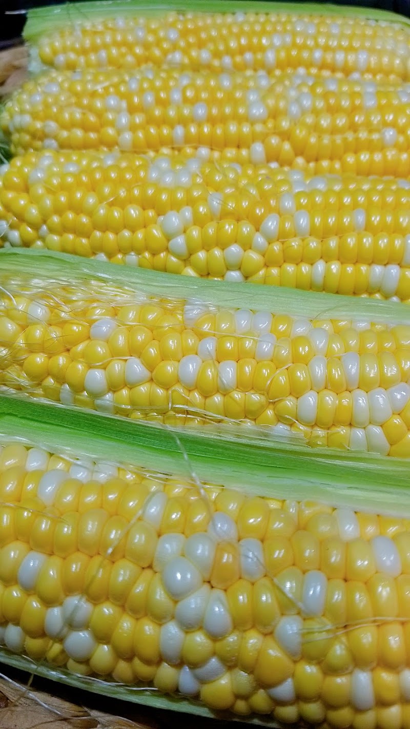 Sparkes Corn Barn
