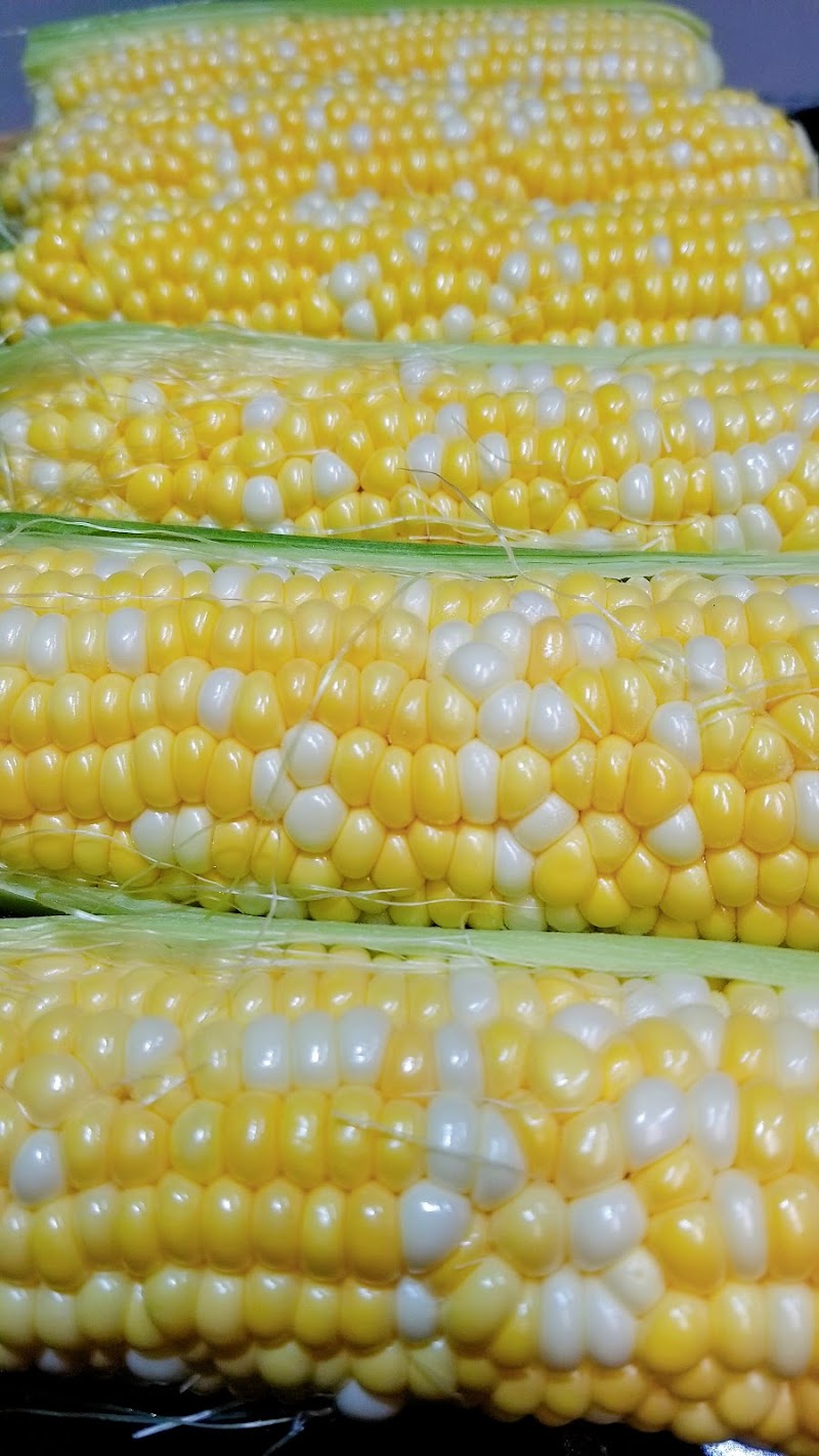 Sparkes Corn Barn 5