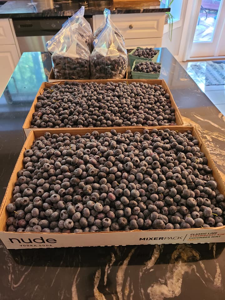 Sparton Acres Farm 5