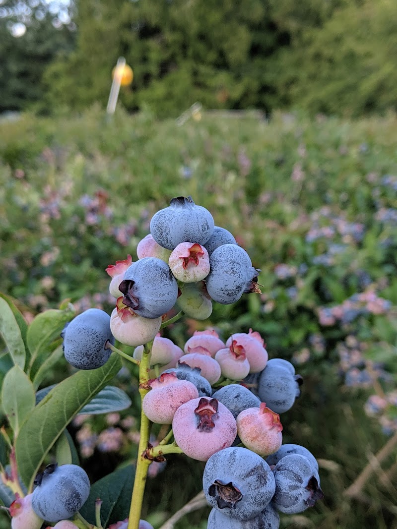 Stocking Creek Farm 4