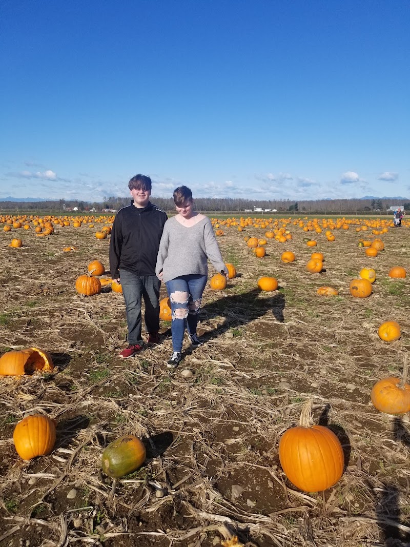 Stoney Ridge Farm 2