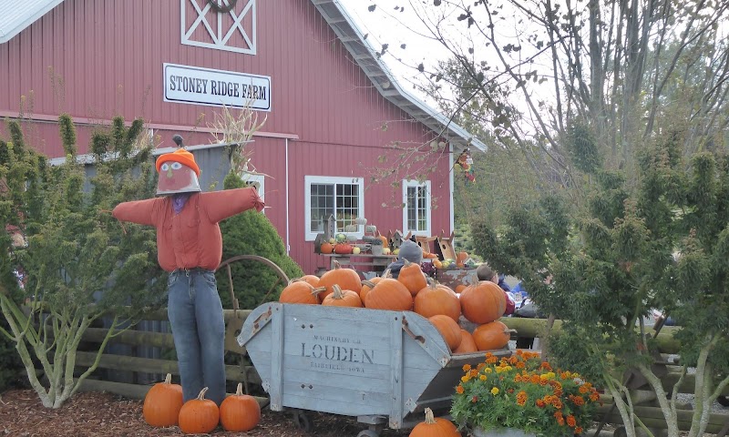 Stoney Ridge Farm 3
