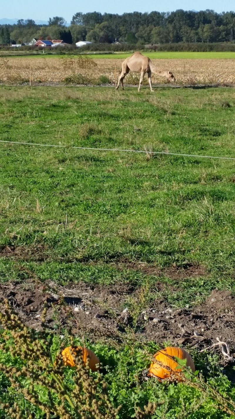Stoney Ridge Farm 4