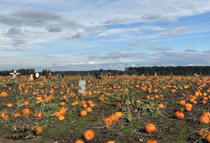 Stoney Ridge Farm