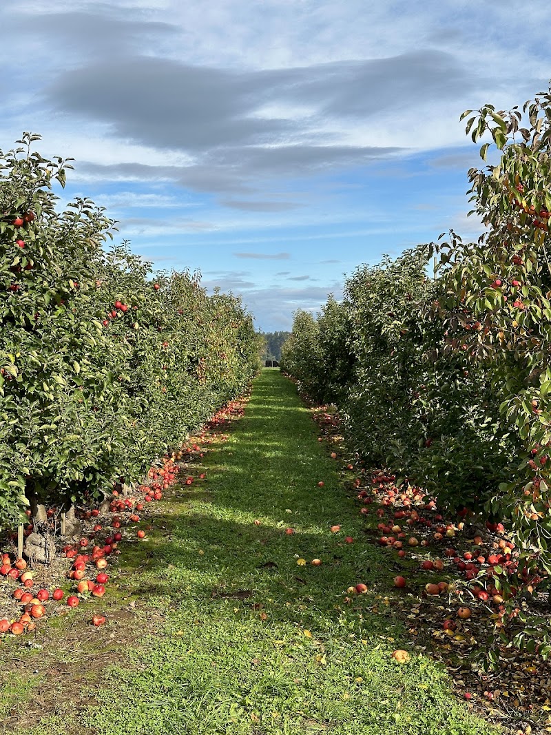 Stoney Ridge Farm 2
