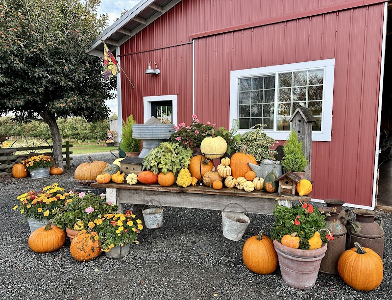 Stoney Ridge Farm 3