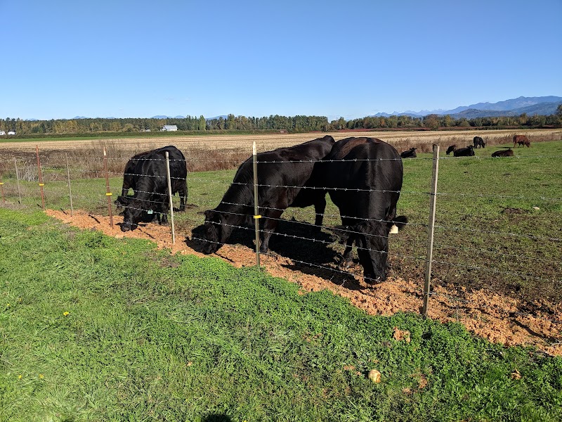 Stoney Ridge Farm 5