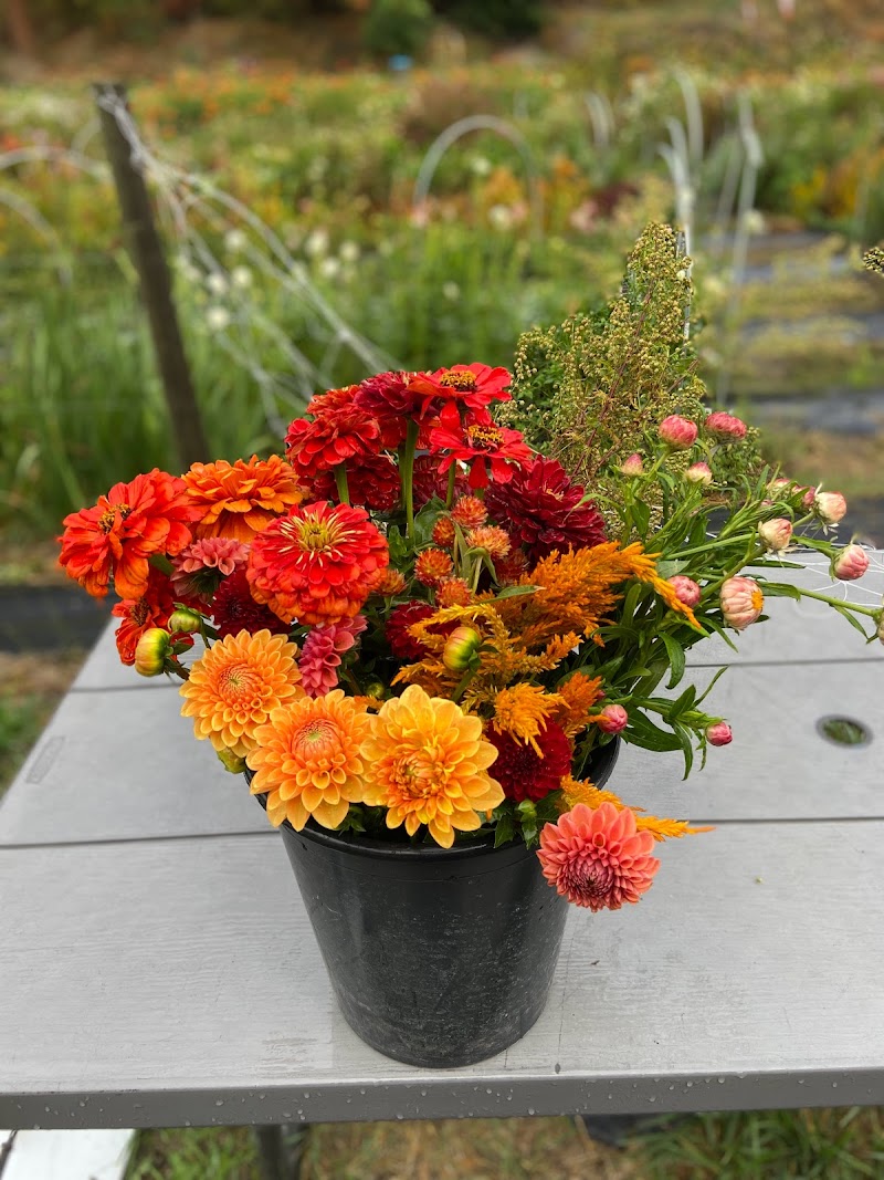 Storybook Flower Farm 2