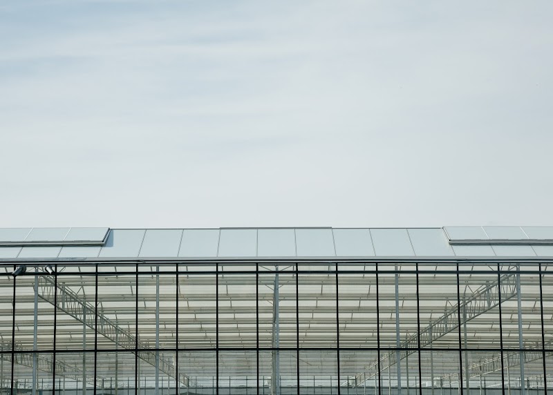 Sunfarms