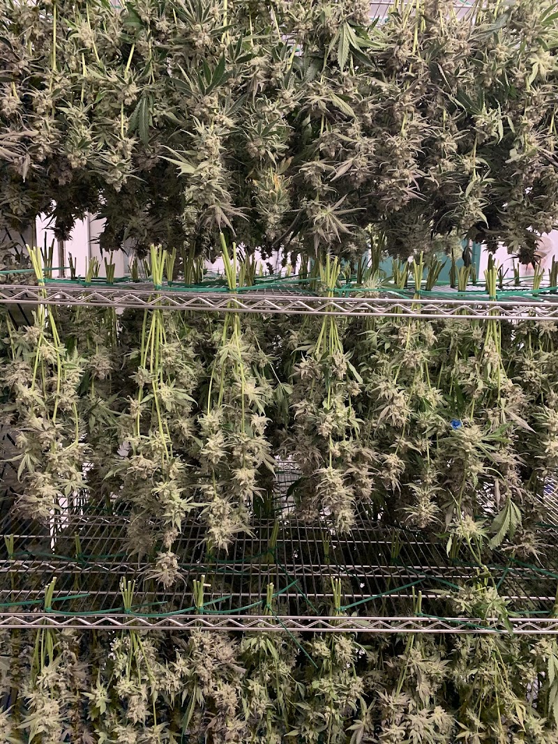 Sunfarms 3