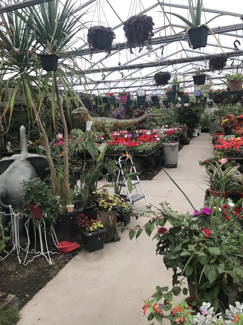 Sunrise Garden Centre 2