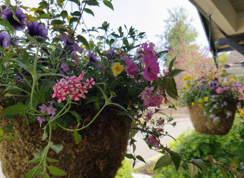 Sunrise Garden Centre 4
