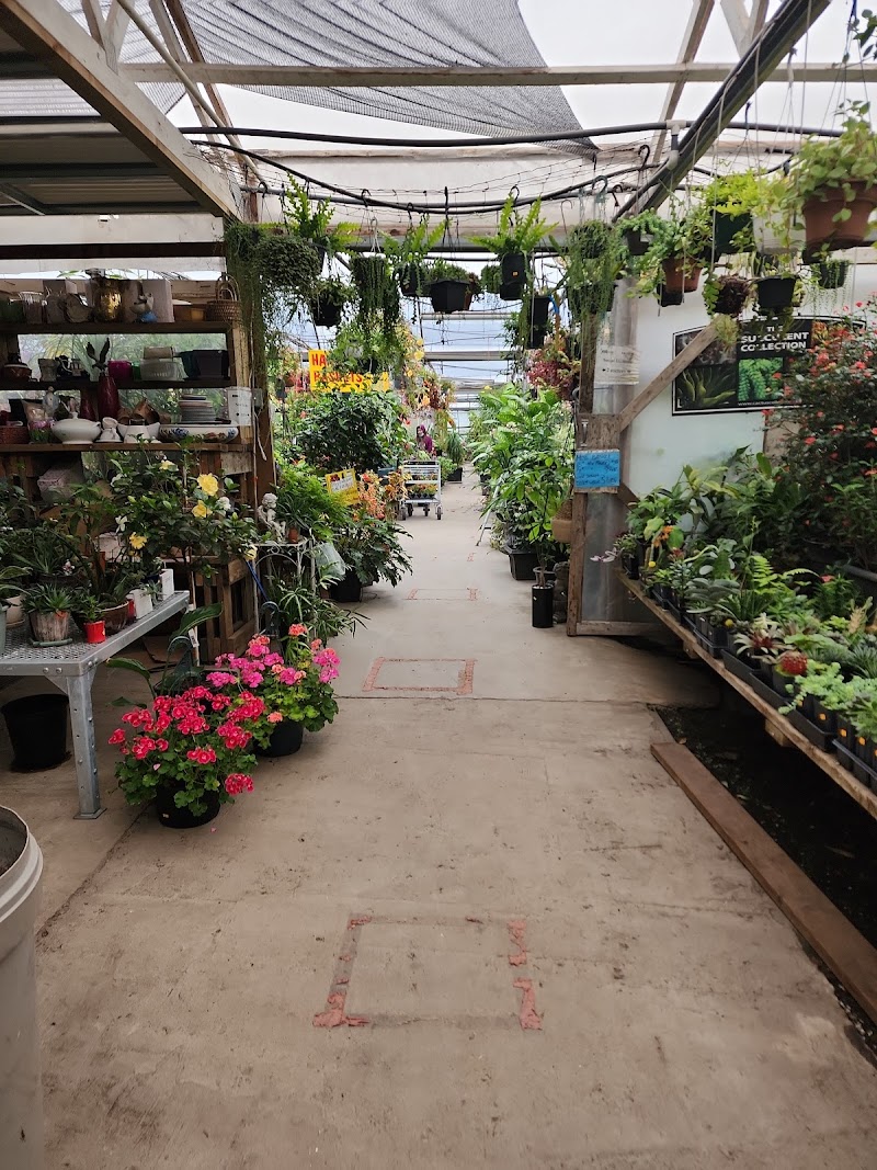 Sunrise Garden Centre 5