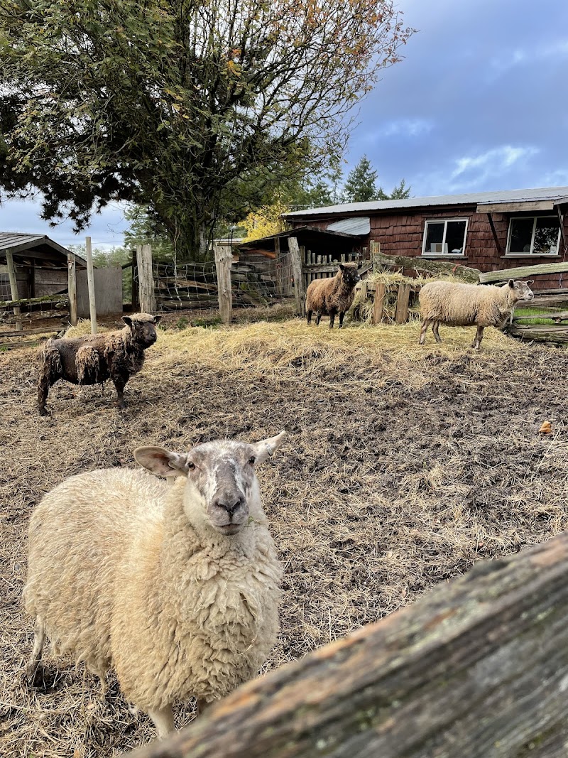 Sunset Farm