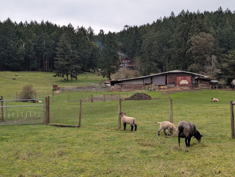 Sunset Farm 2
