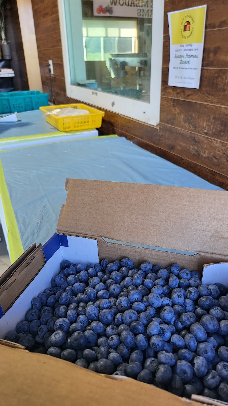 Sunshine Meadow Farms 4