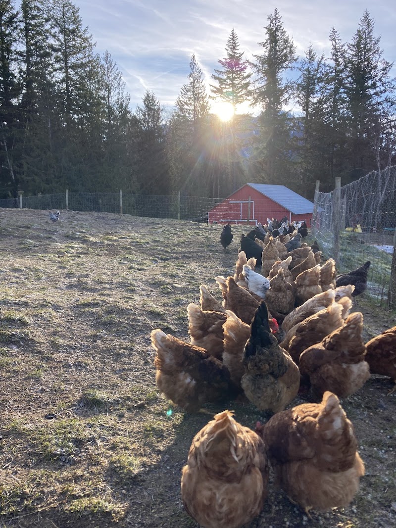 Sweet Earth Farms