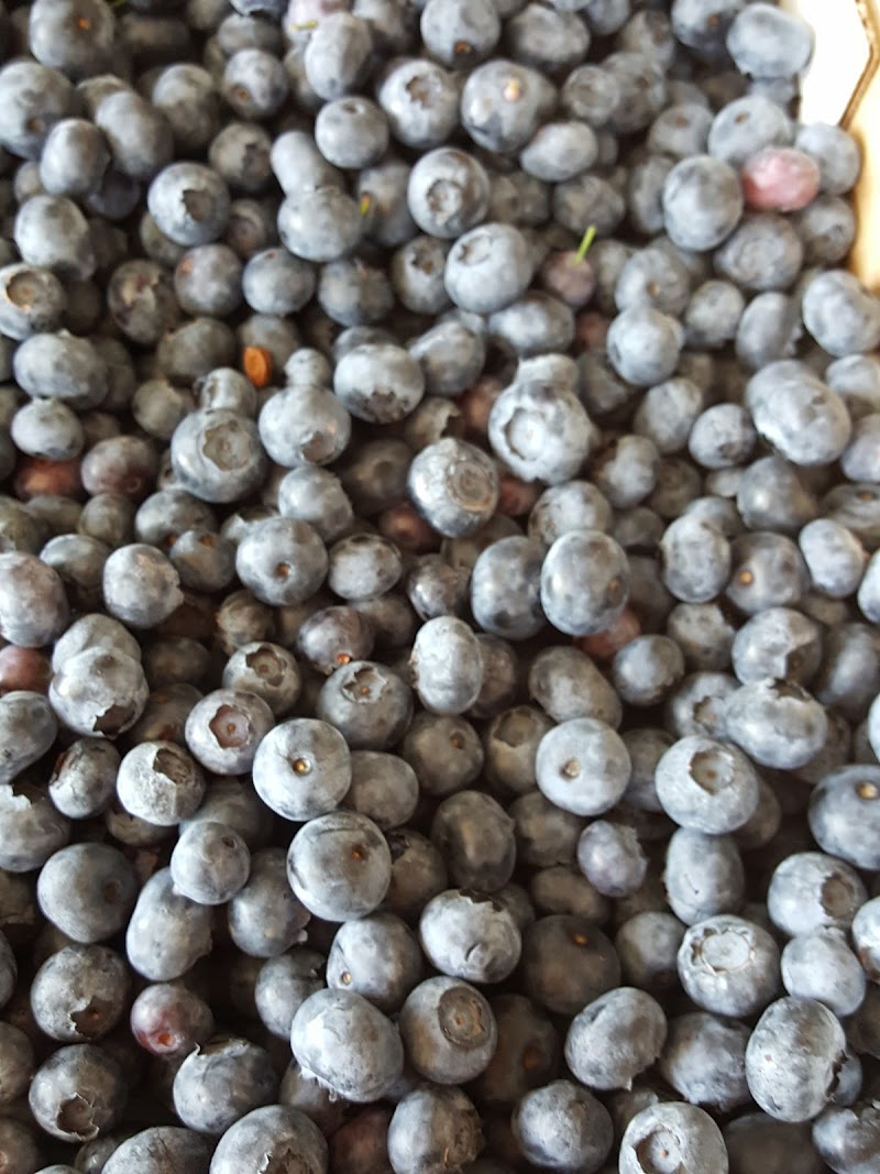 Takhar Berry Farms 2