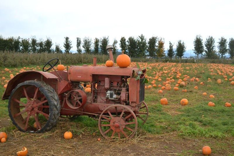Taves Farms