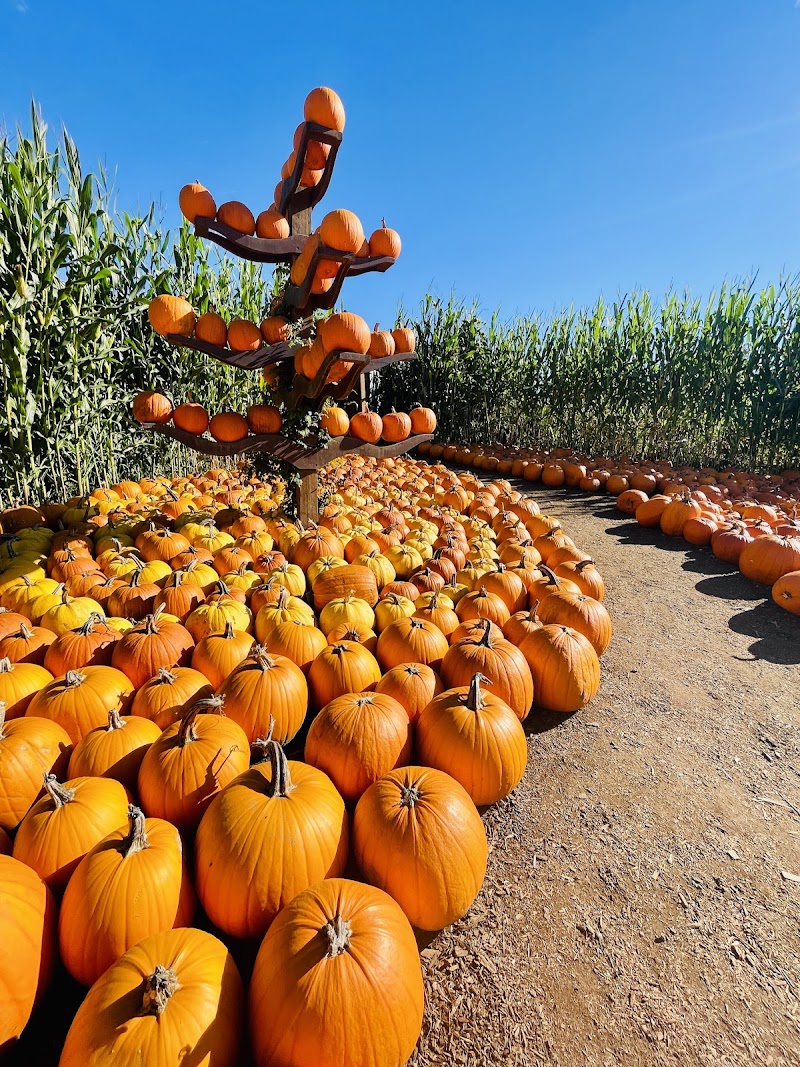 Taves Farms 3