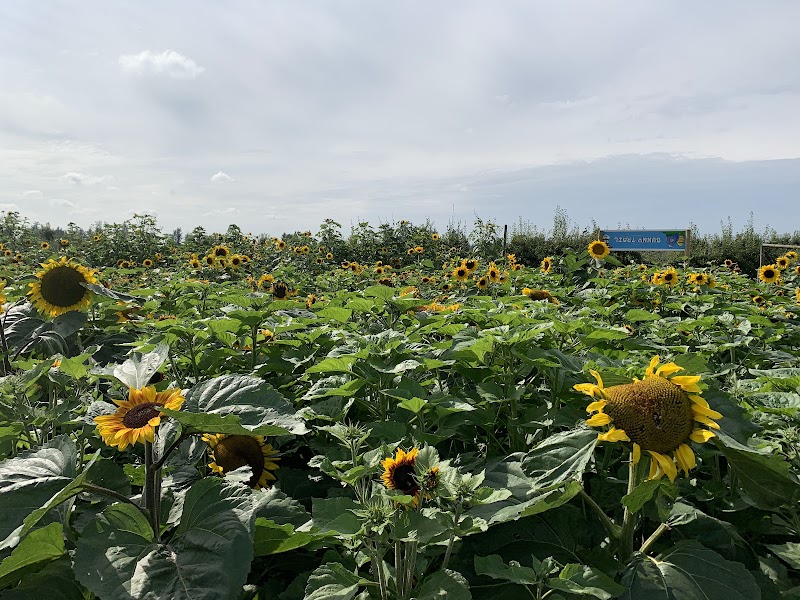Taves Farms 4