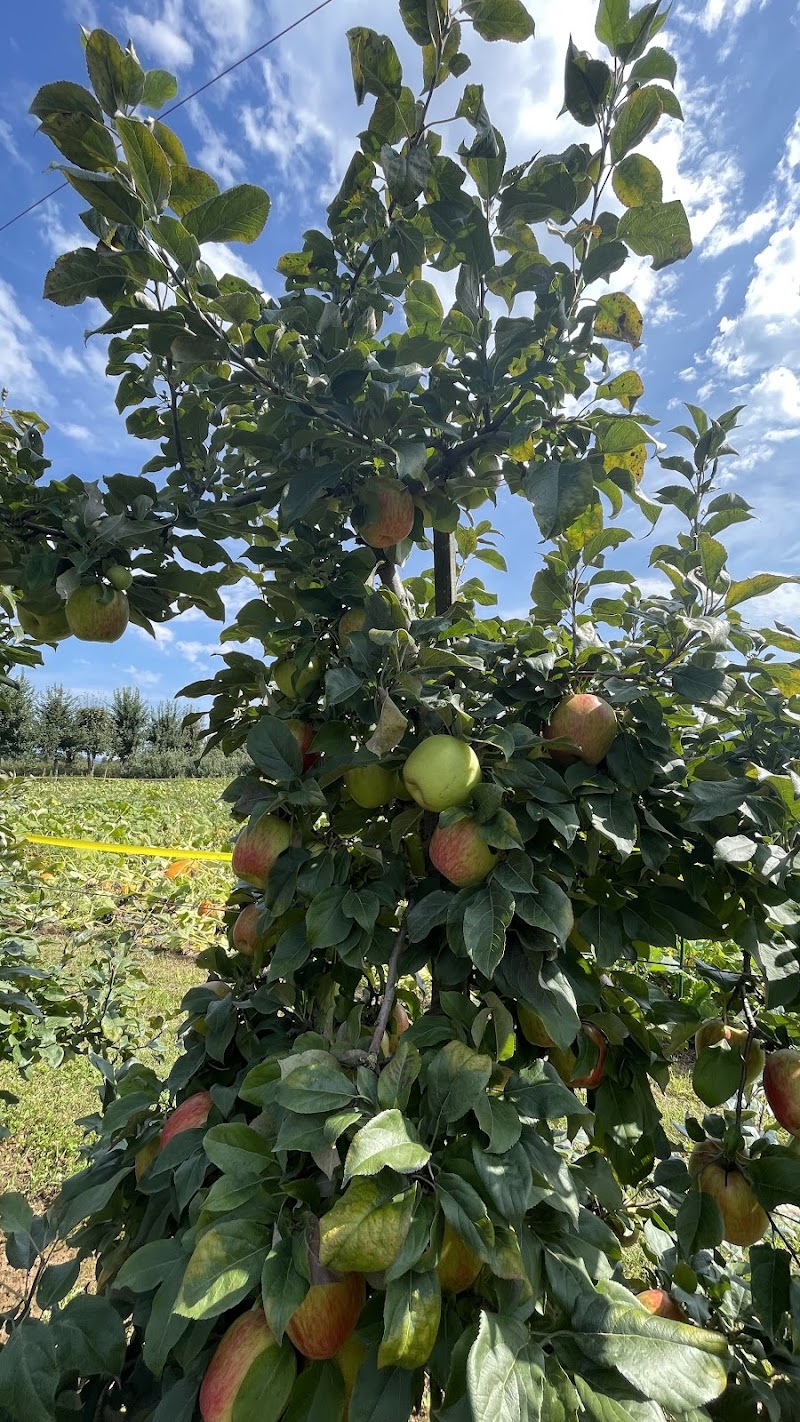 Taves Farms 5