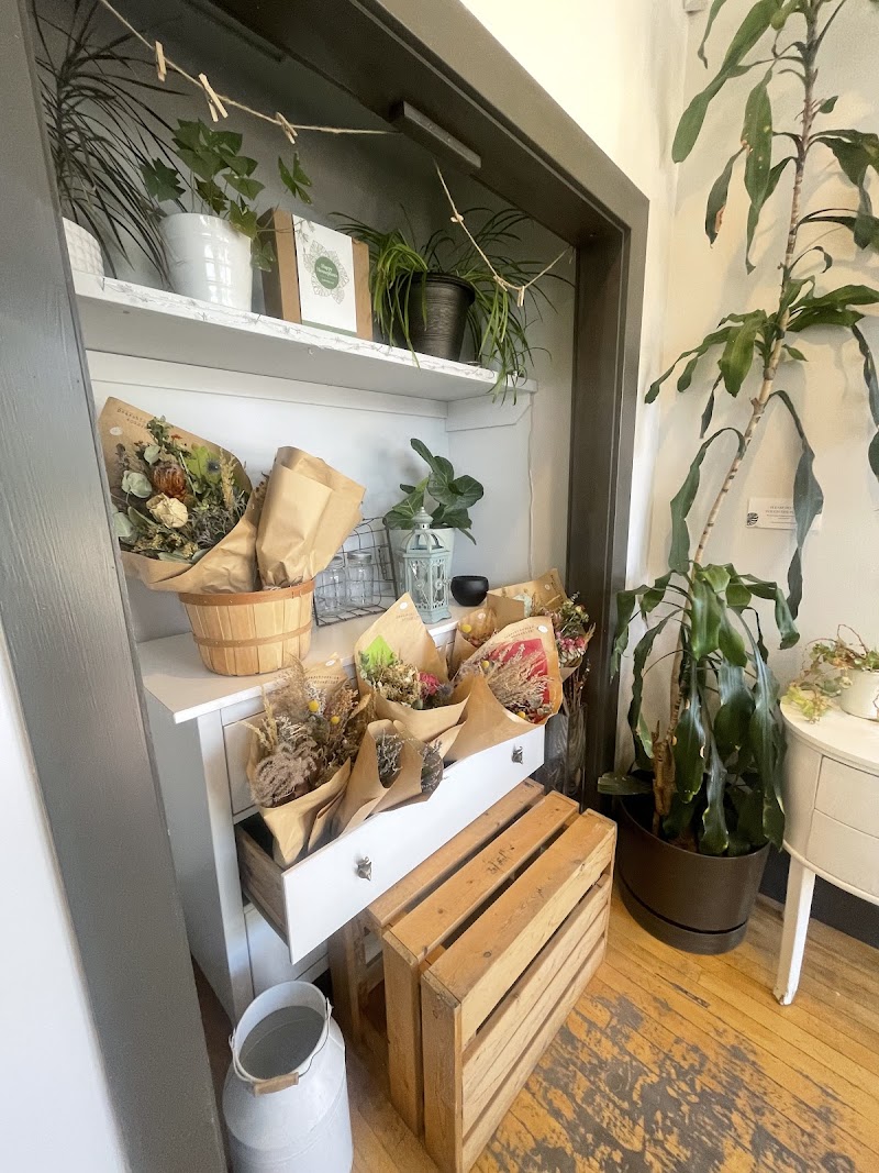 The Apothecary 4