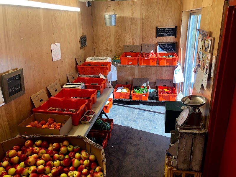 The Apple Bin 2
