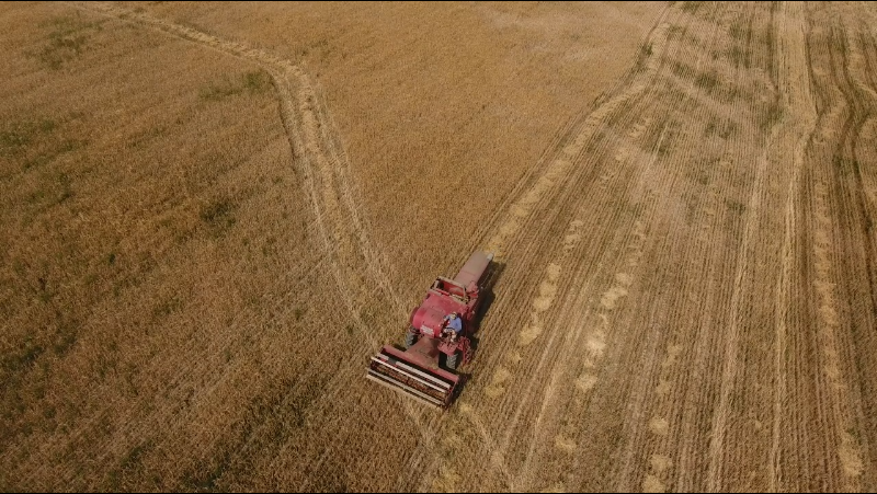 The Beer Farmers 1