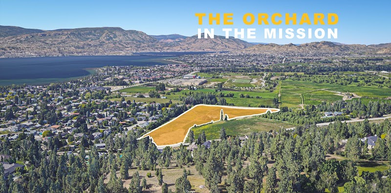 The Orchard In The Mission