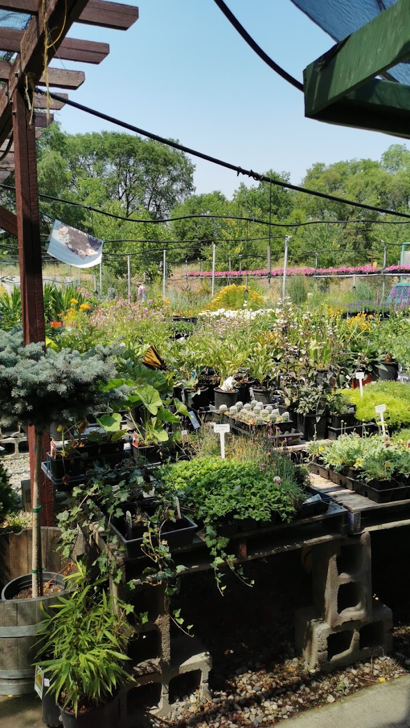 Thorp Family Organic Farm- Riverside