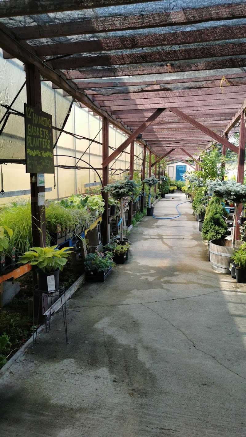 Thorp Family Organic Farm- Riverside 2