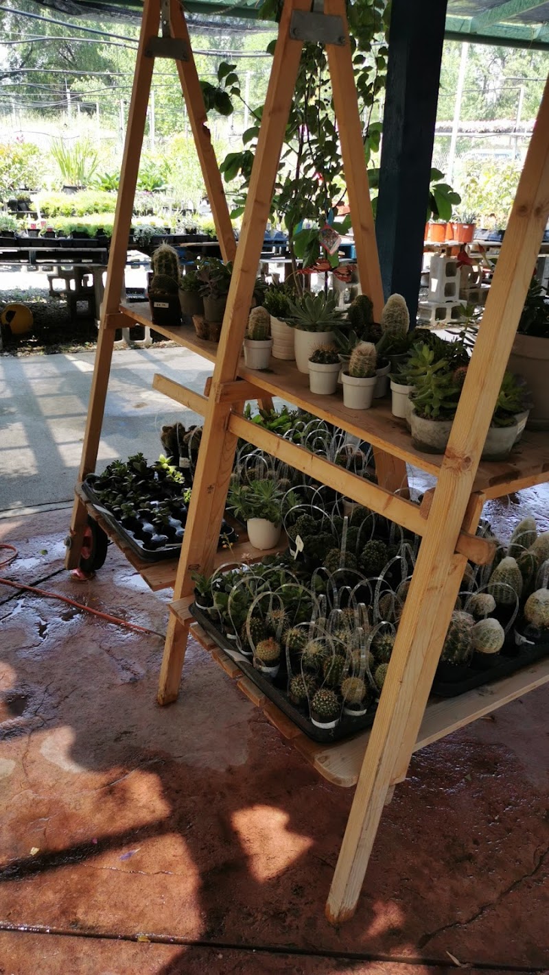 Thorp Family Organic Farm- Riverside 4