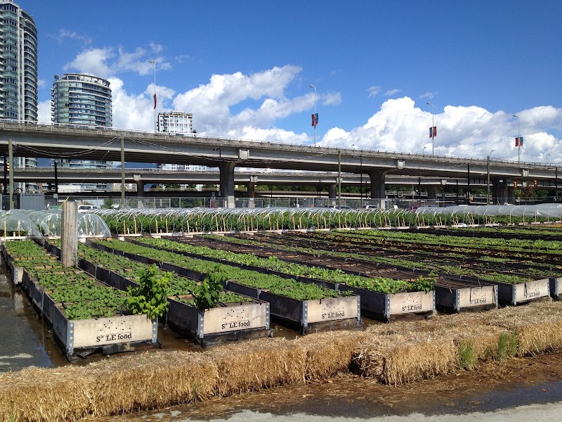 Topsoil Market