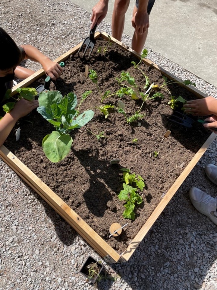 Topsoil Market 3