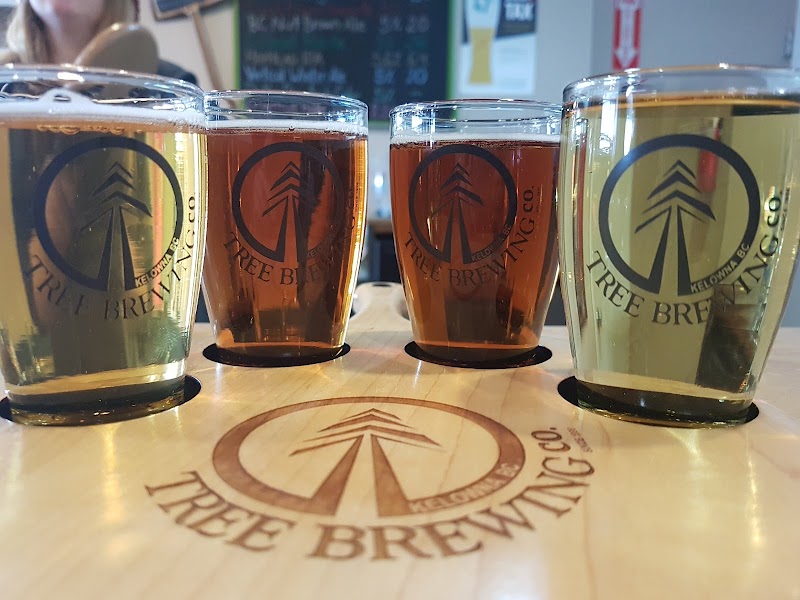 Tree Brewing 4