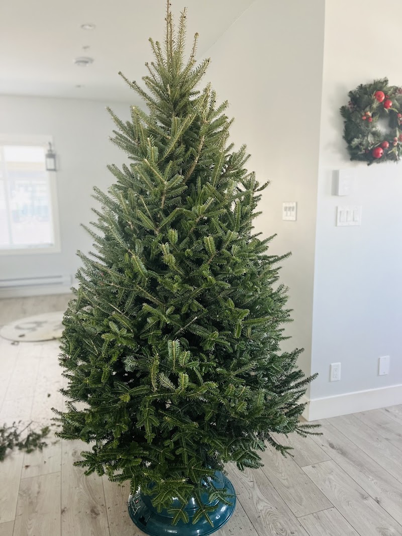 Tree Farm 2