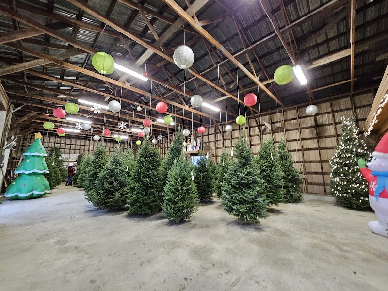 Tree Farm 3