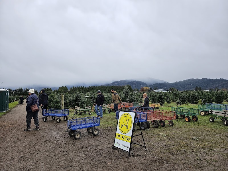 Tree Farm 4
