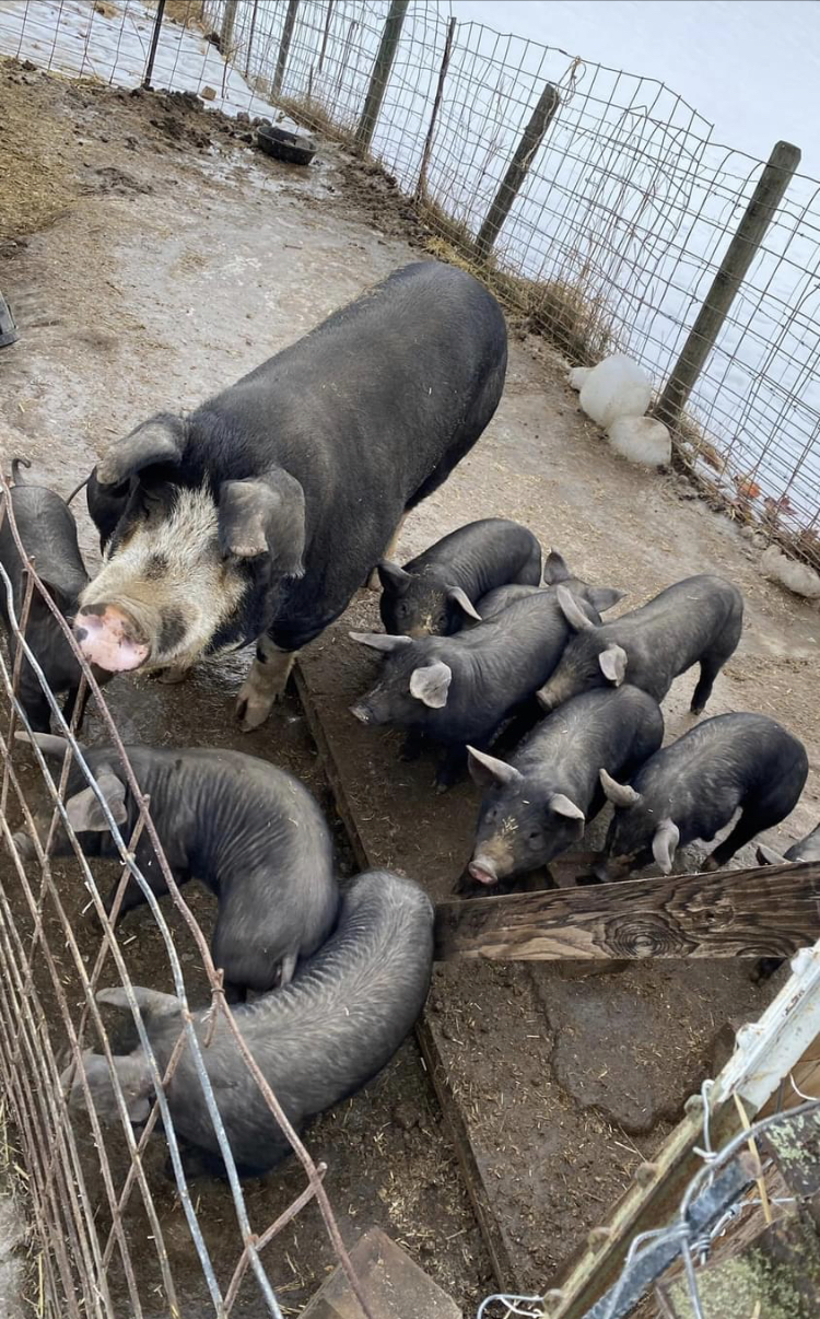Twin Acres Farm
