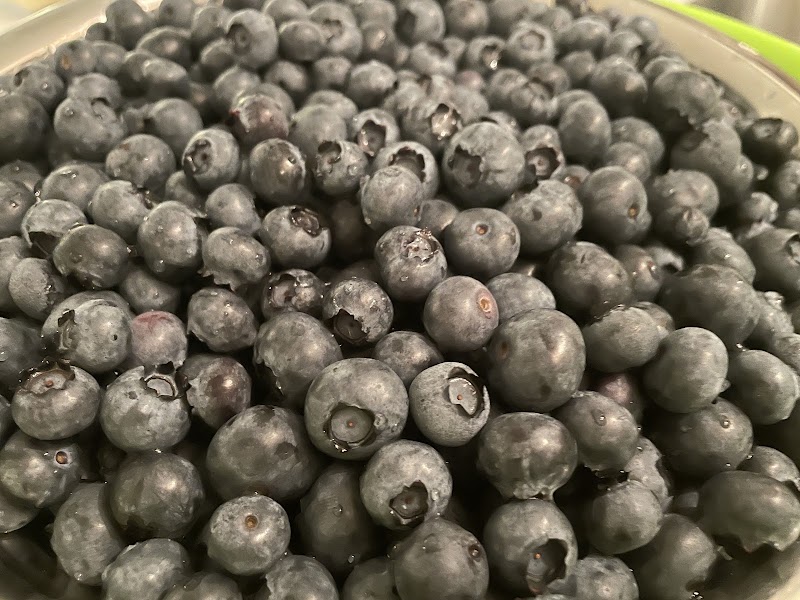Twin Berry - NRK Sahota Blueberry Farms Ltd 4
