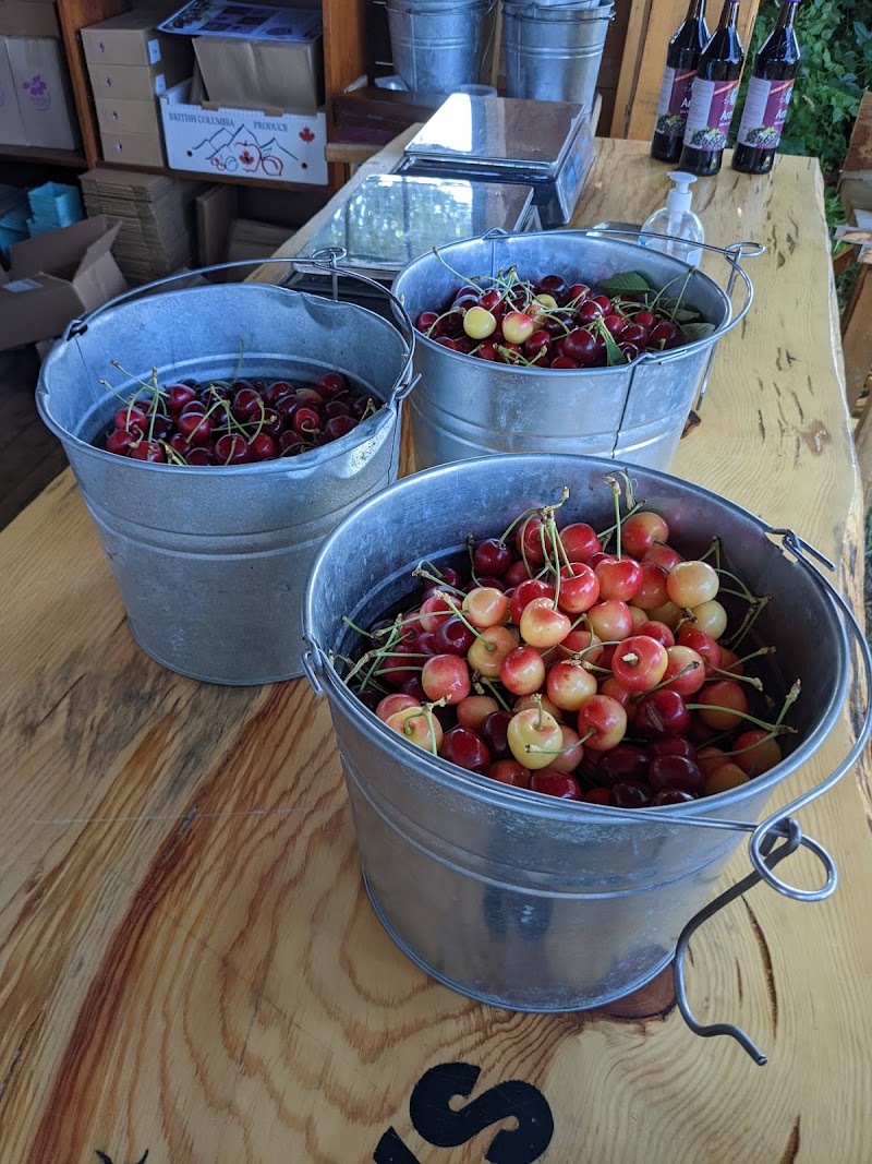 Twin Oaks Organic Orchard 5