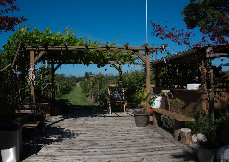 U-Pick Blueberry Farm 4