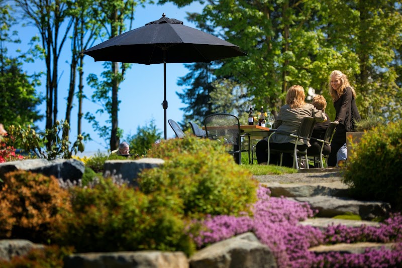 Unsworth Vineyards 3